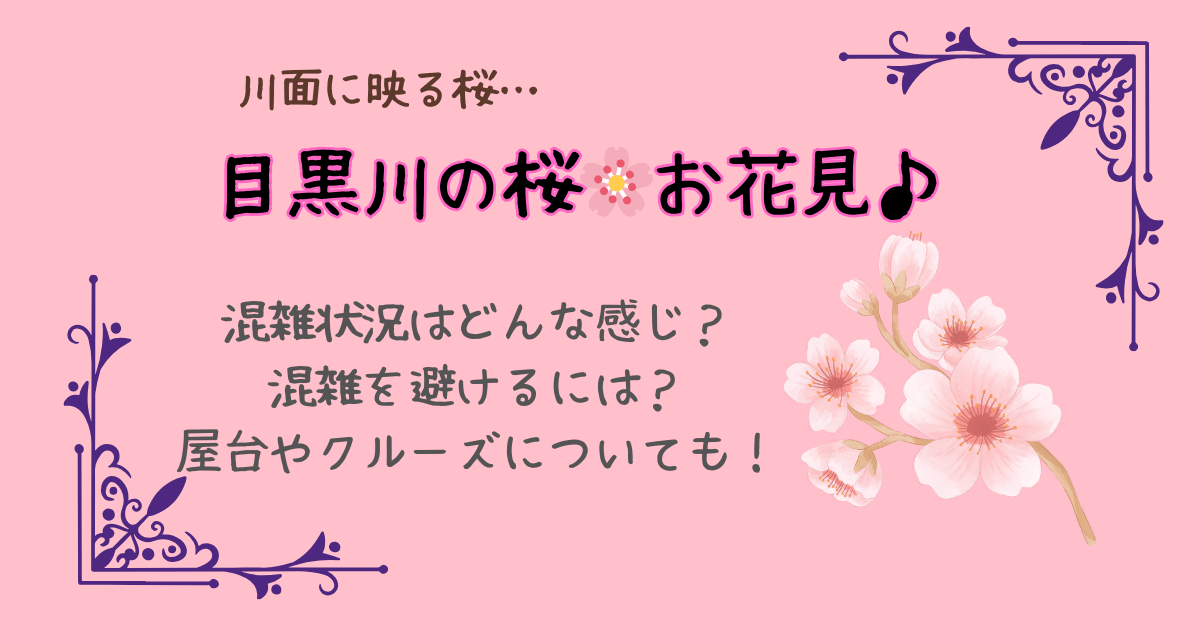 目黒川　桜　お花見　混雑状況　空いてる時間　混雑回避法　クルーズ　屋台　ルート　料金